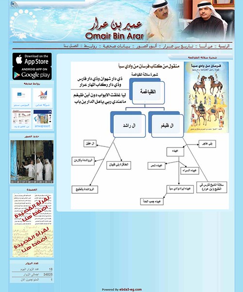 Bin Arar
